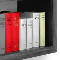 Teilansicht vom B&uuml;cherregal mit Gesetzb&uuml;chern